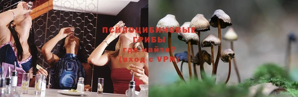 а пвп мука Бугульма